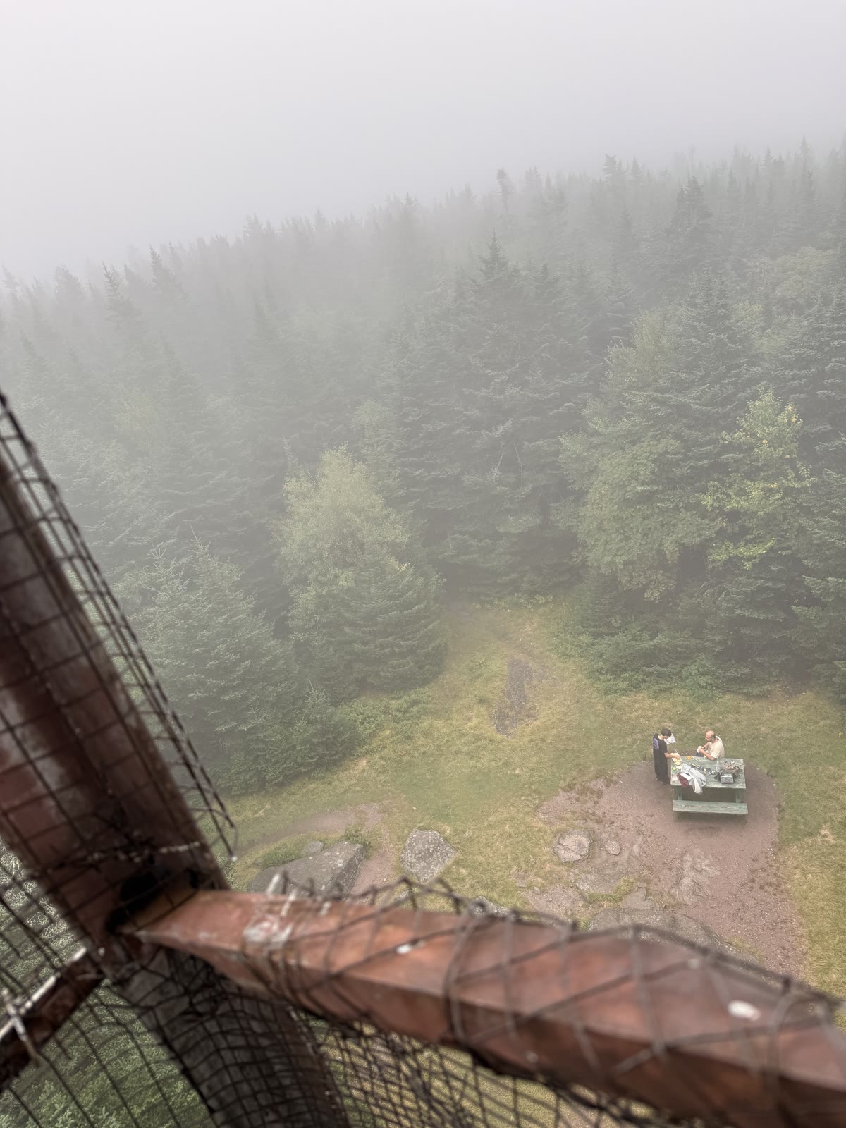 Looking down from the fire tower through steel mesh to the picnic clearing in the fog